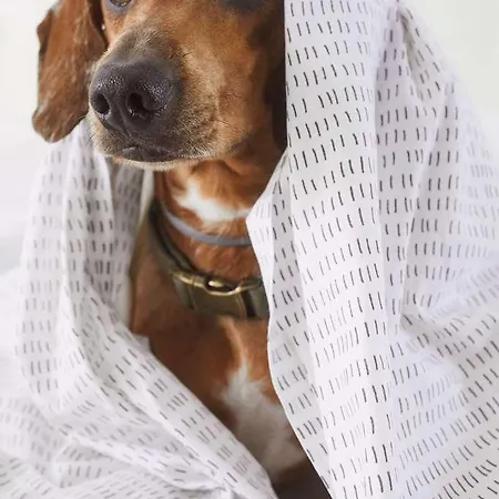 Levante St Julians Affiliated By Melia *